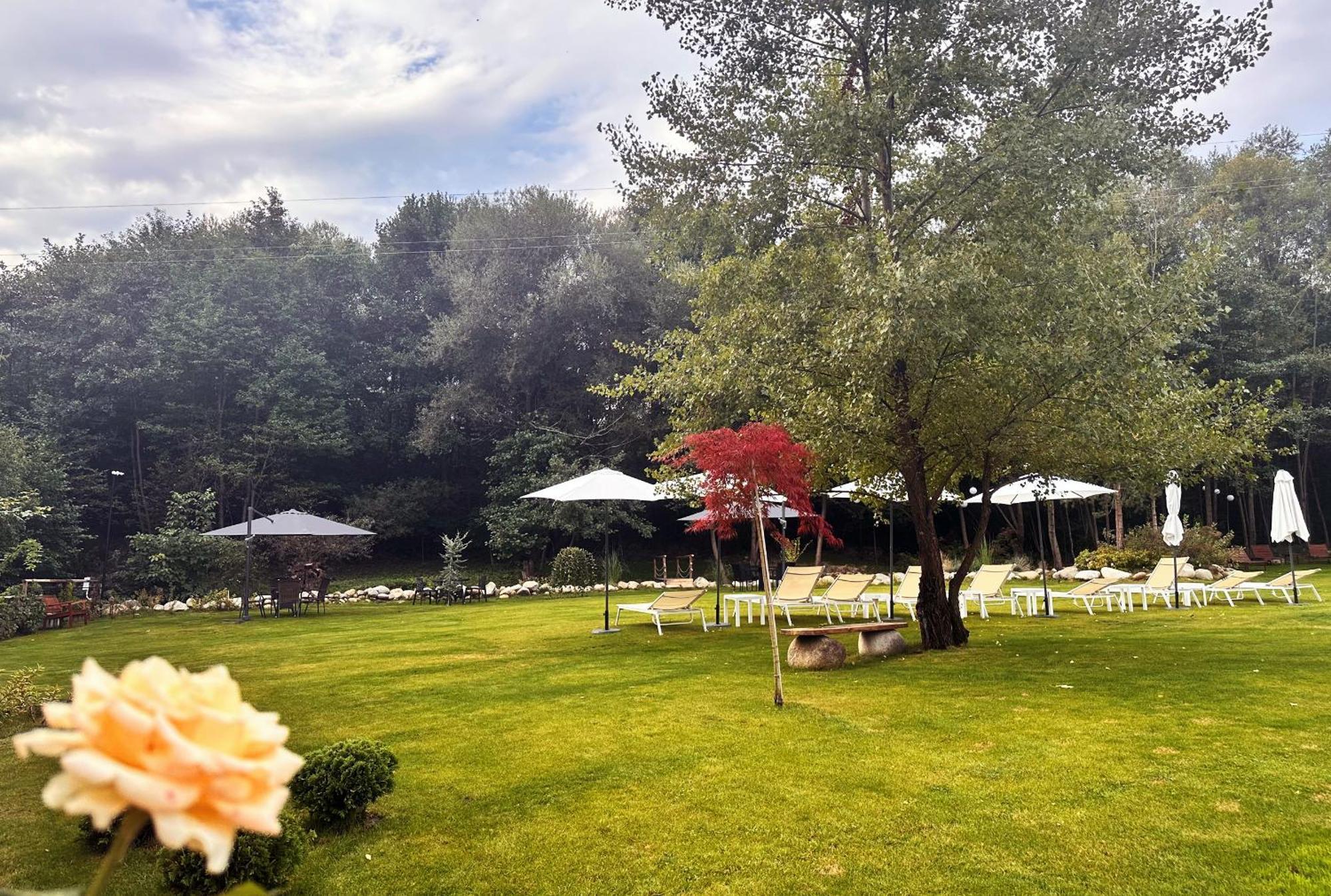 Predela Lux Aparthotel バンスコ エクステリア 写真